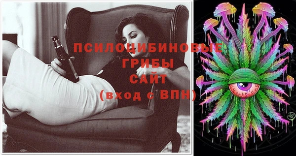 молекула духа Волосово