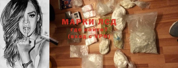 СК Волоколамск